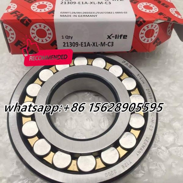 21309-E1A-XL-M-C3 FAG